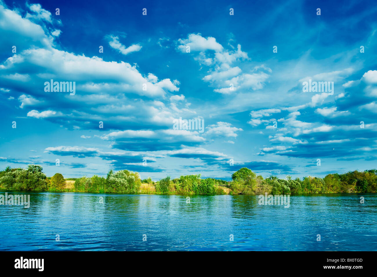 bank of river with green trees on summer day Stock Photo - Alamy