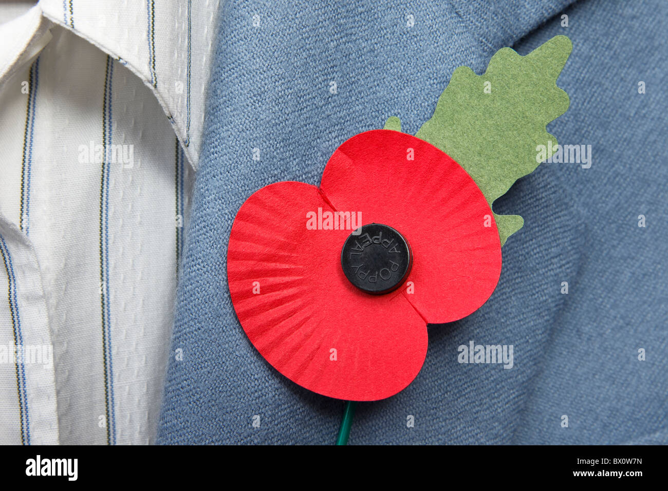 Proud person wearing red British Legion remembrance poppy on a smart blue jacket lapel. England, UK, Britain Stock Photo