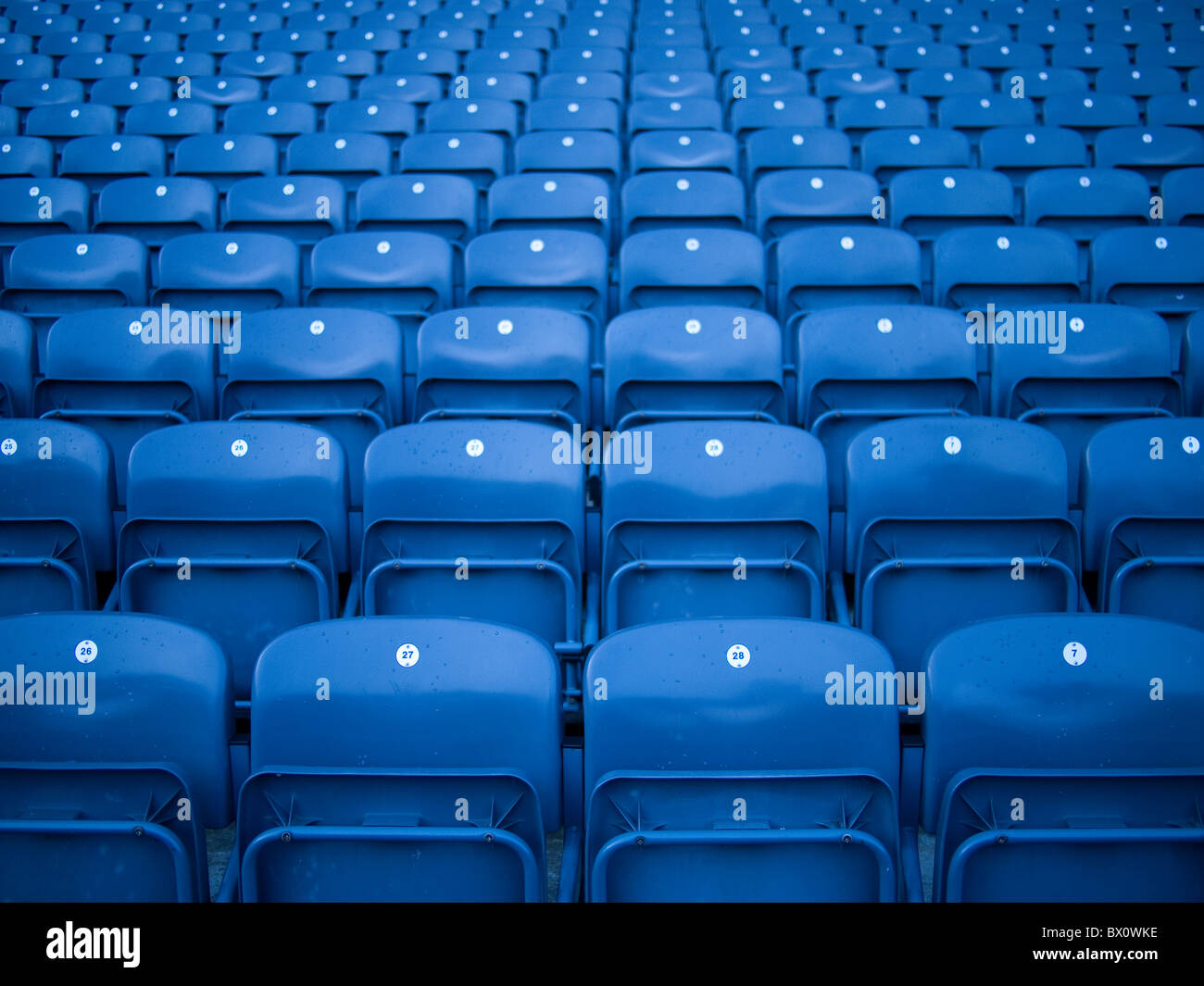 Rows of Seats in Sports Stadium Stock Photo Alamy