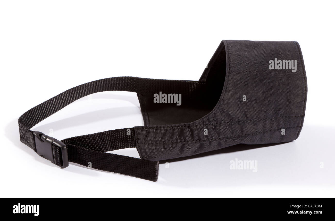 A Dog Muzzle Stock Photo Alamy