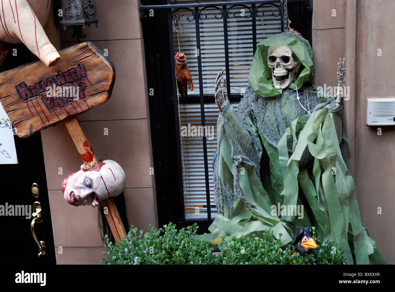 Scary halloween display skeleton hi-res stock photography and images - Alamy