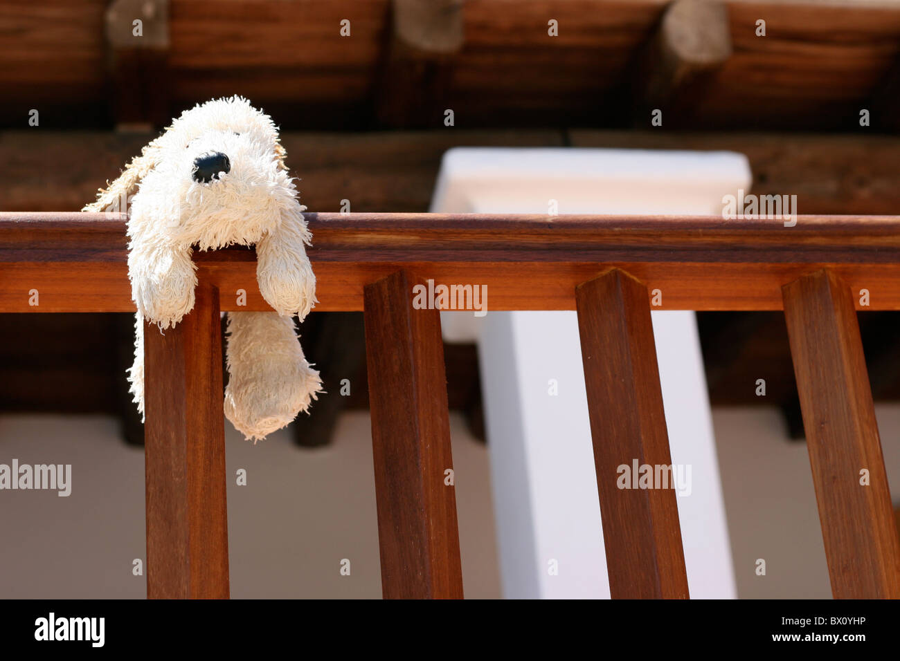 A toy dog on the wooden balcony in Stock Photo Alamy