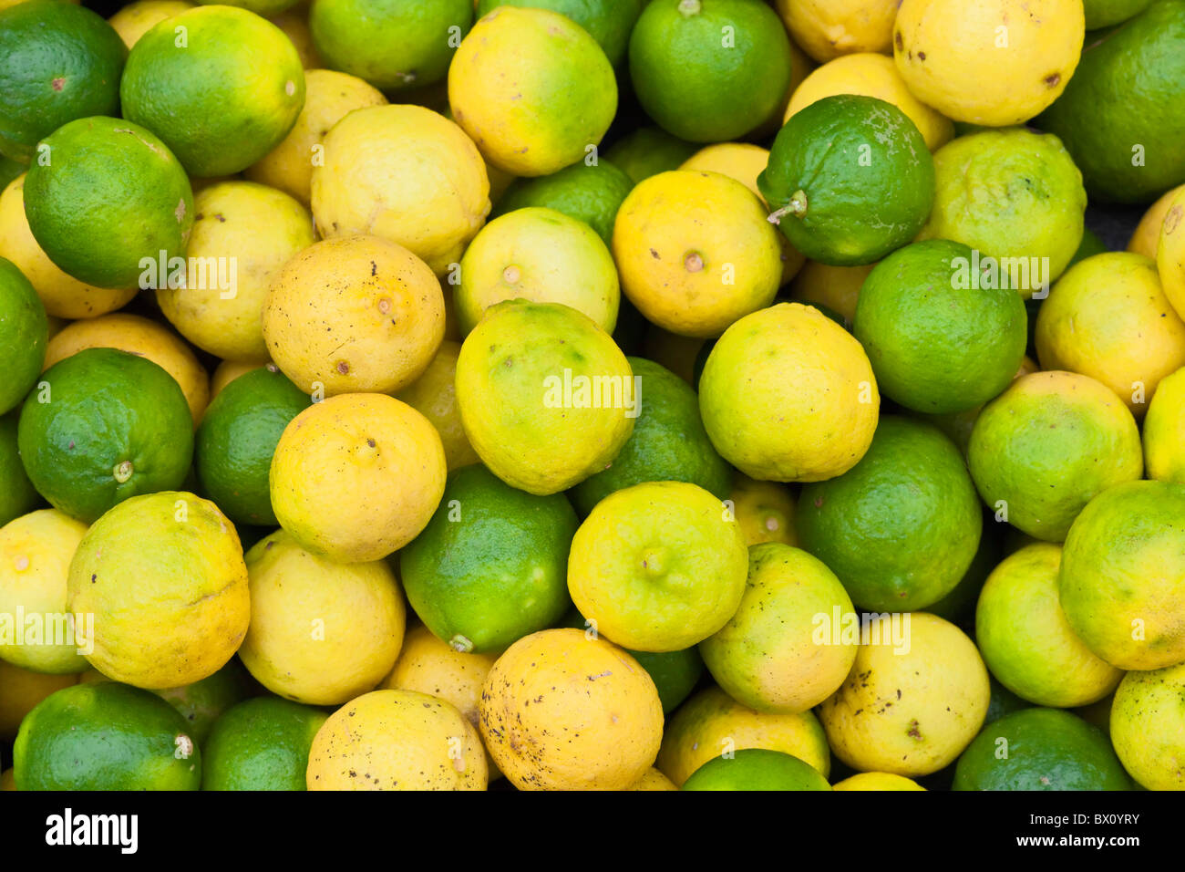 Lemons and limes Stock Photo