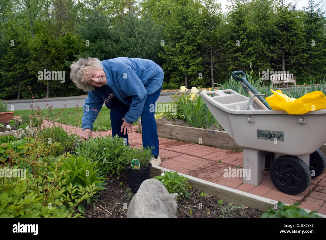 Older woman tending her raised flower bed Stock Photo