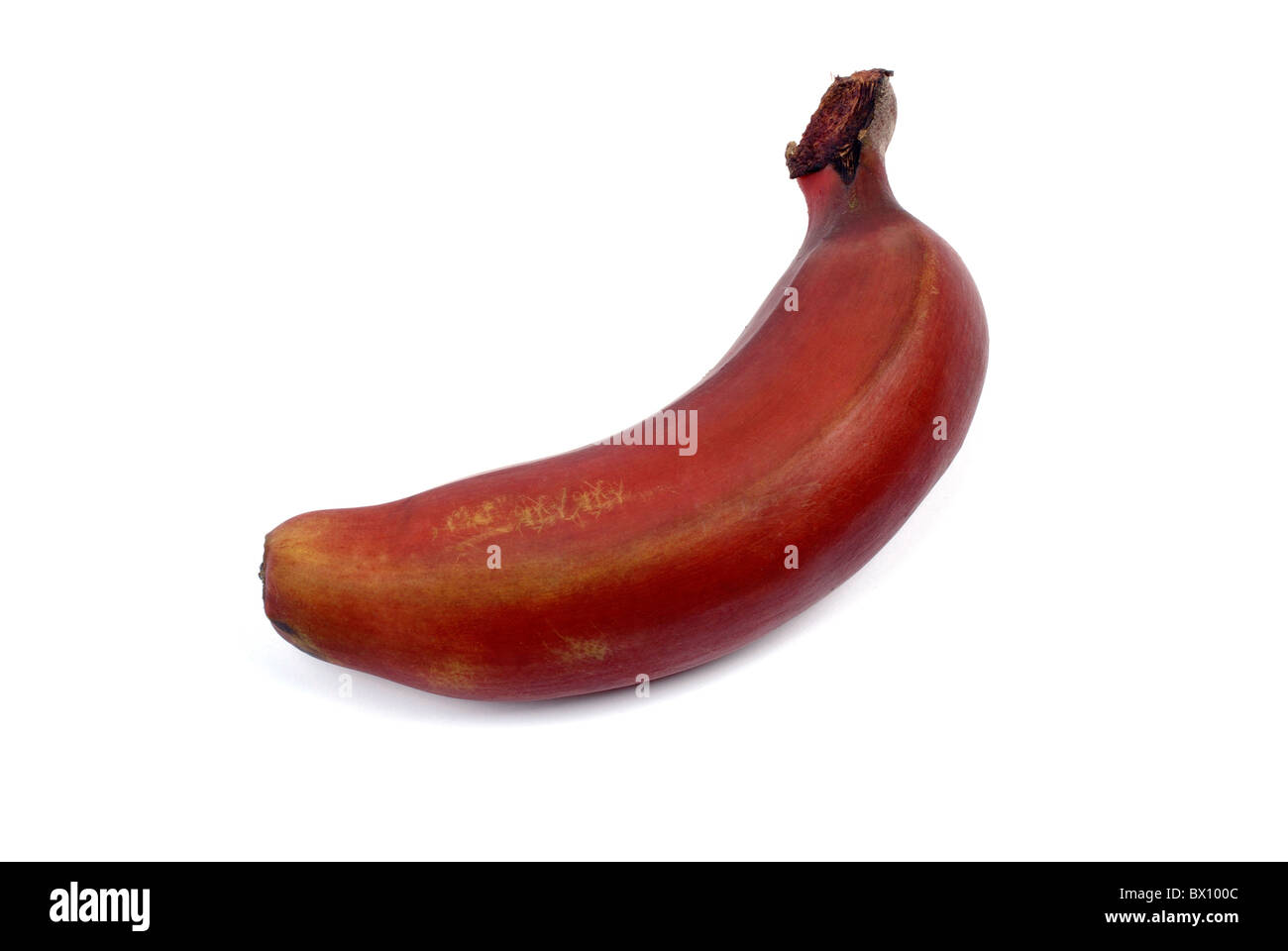 Single red banana isolated on white background with shadow Stock Photo ...