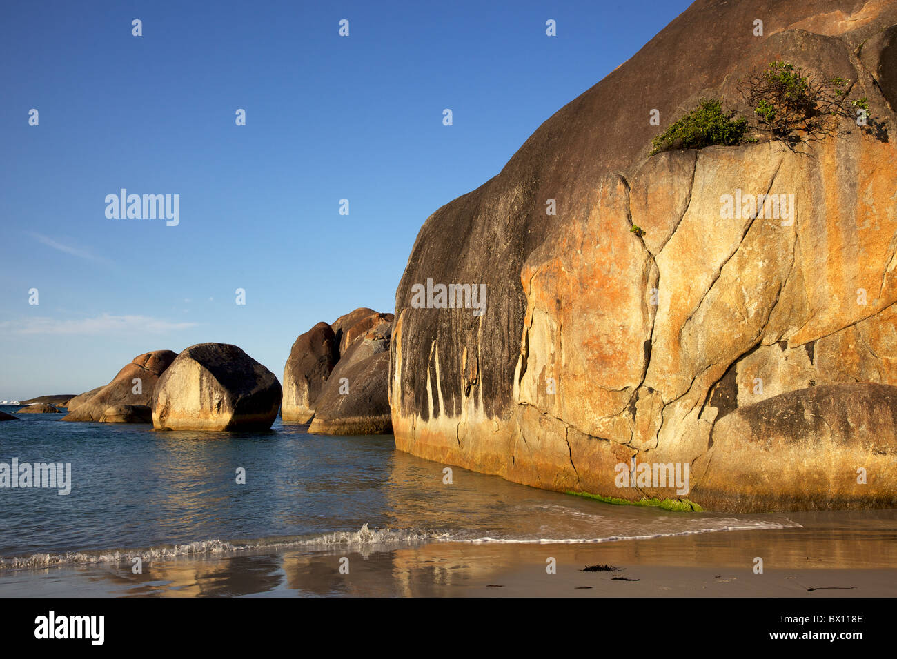 Elephant Rocks In William Bay National Park Near The Town Of Denmark elephant-rocks-in-william-bay-national-park-near-the-town-of-denmark