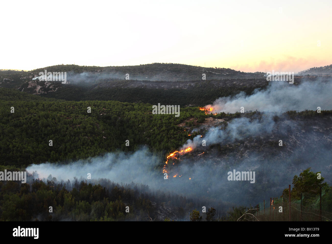 Flames and thick smoke rise from a massive forest fire on Mount Carmel in northern Israel. The fire consumed much of the Mediterranean forest covering the region and claimed 44 lives, making it the deadliest in Israeli history. Stock Photo
