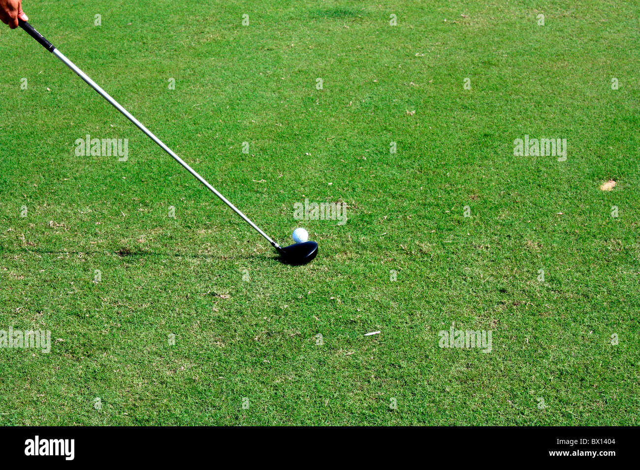 Golf driver hitting the ball Stock Photo Alamy
