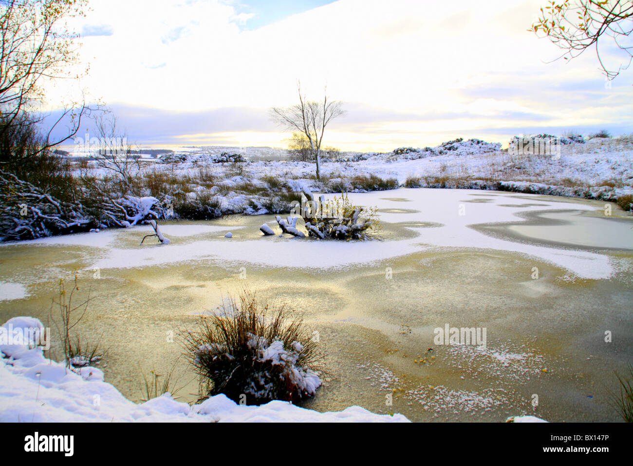 frozen pond Stock Photo