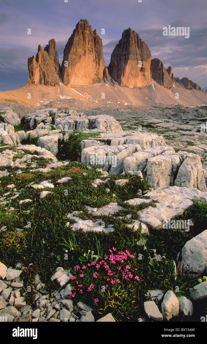 battlement cheers dusk flowers high Italy Europe mood mountain mountain panorama mountains portrait forma Stock Photo