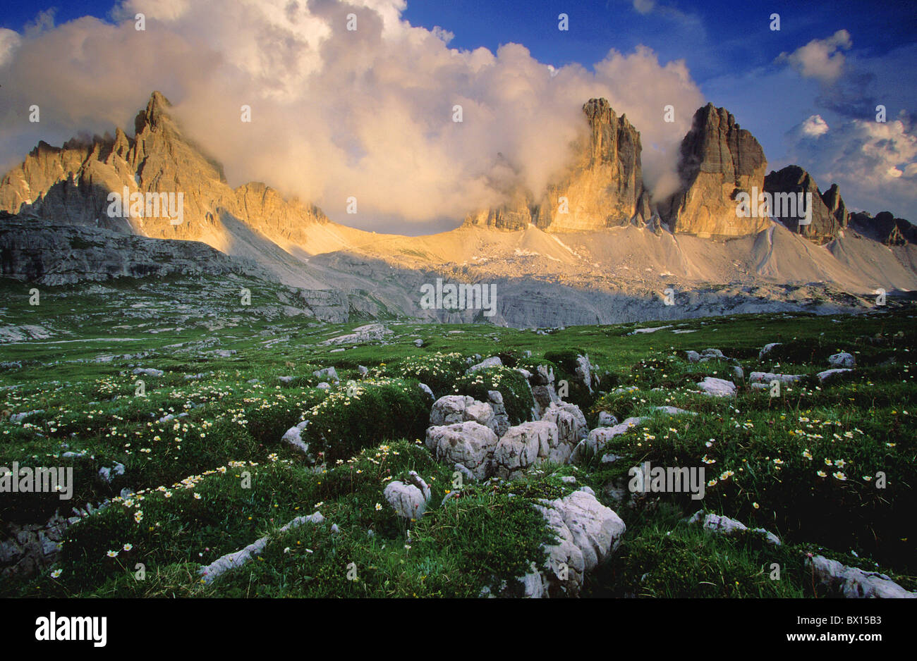 battlement cheers dusk flowers high Italy Europe mood mountain mountain panorama mountains Paternkofel p Stock Photo