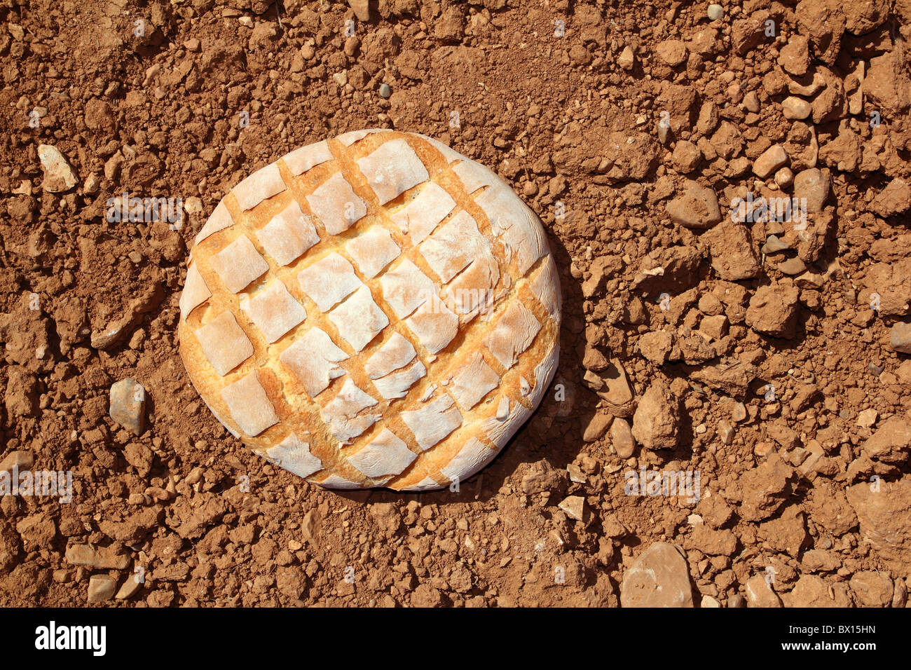 Bread bun round over red clay soil background texture Stock Photo