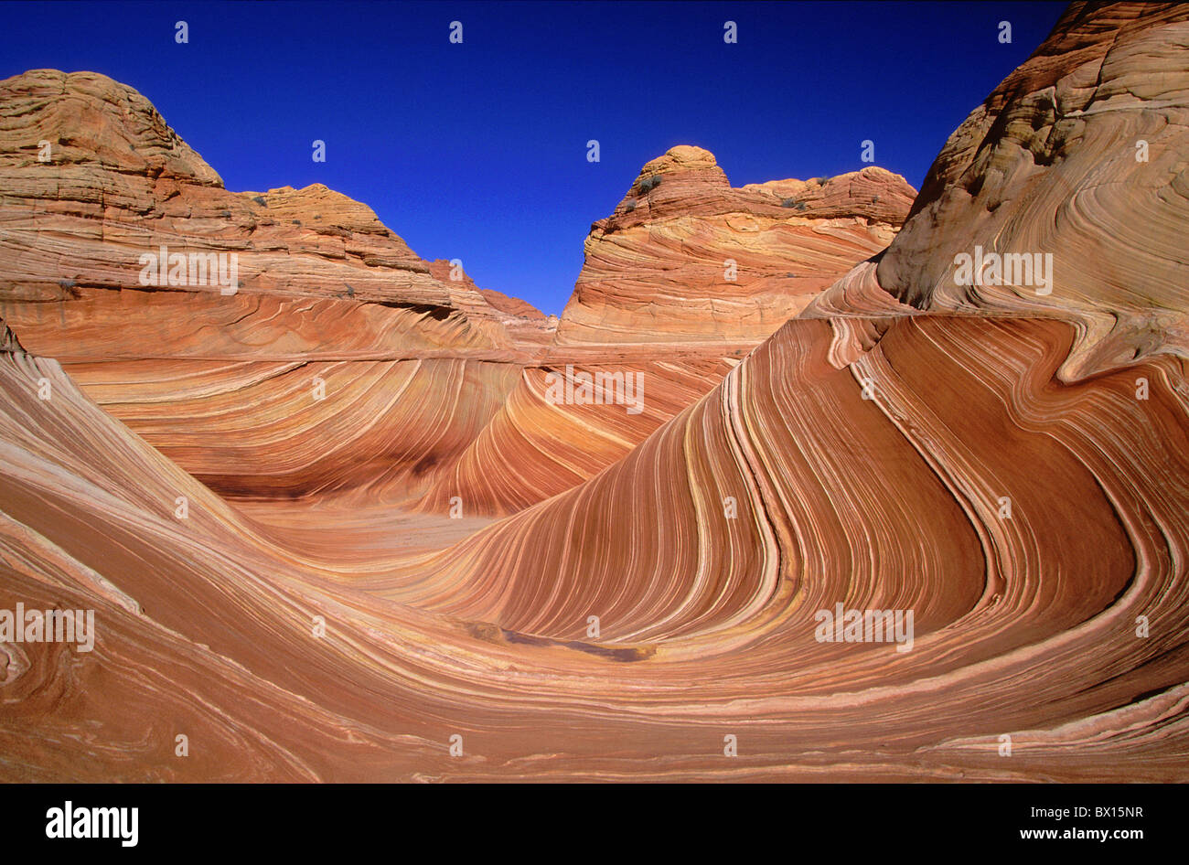 Arizona blue sky cliff desert erosion Navaho sandstone Northern Coyote Buttes pariah Canyon