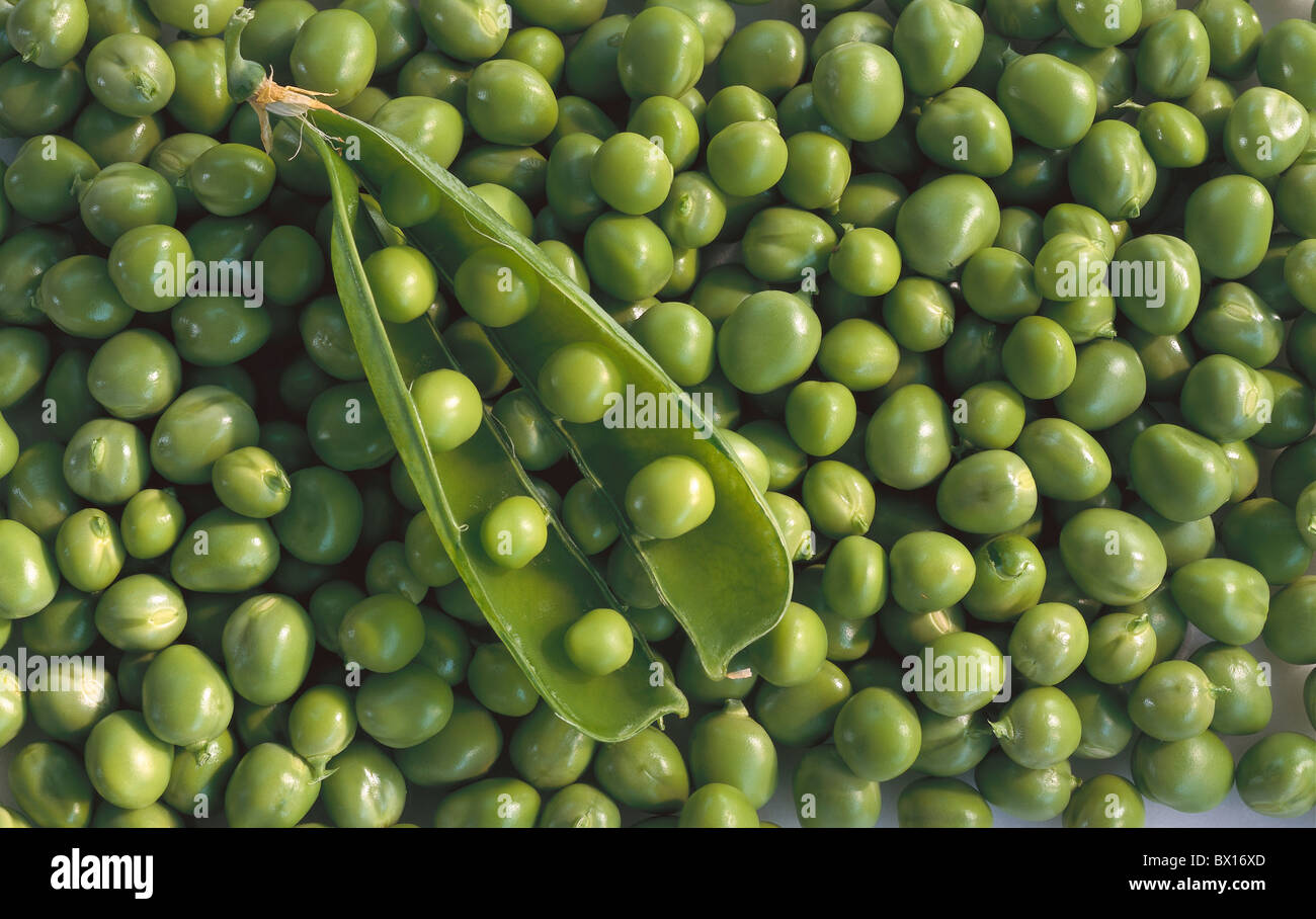 Food Frame Fresh Full Green Healthy Ingredients New Organic Pea Peas Pod Pods Produce Pulse