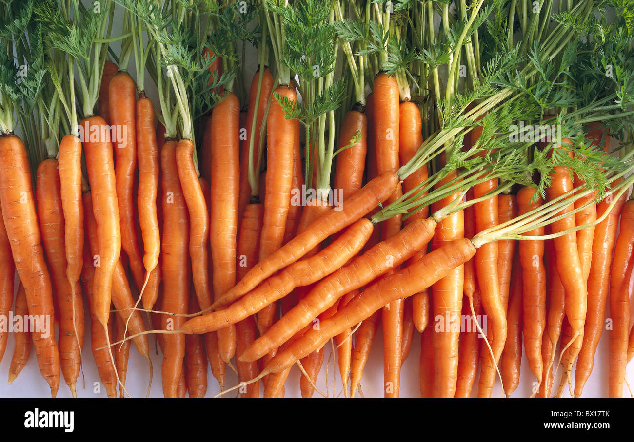 Carrot Carrots Food Fresh Healthy Ingredient Organic Produce Raw Root