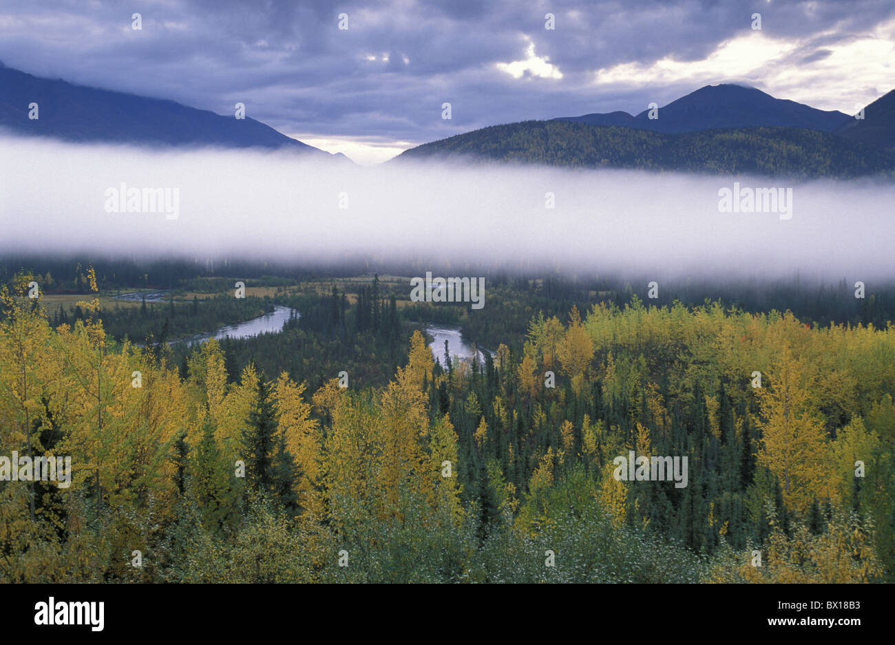 Alaska near Tok Slana River Valley USA America United States forest