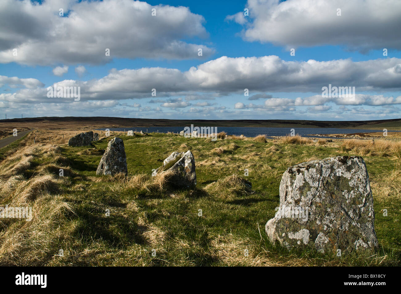 dh Achavanich Loch Stemster STEMSTER STONES CAITHNESS SCOTLAND Megalithic standing stone Circle Stock Photo