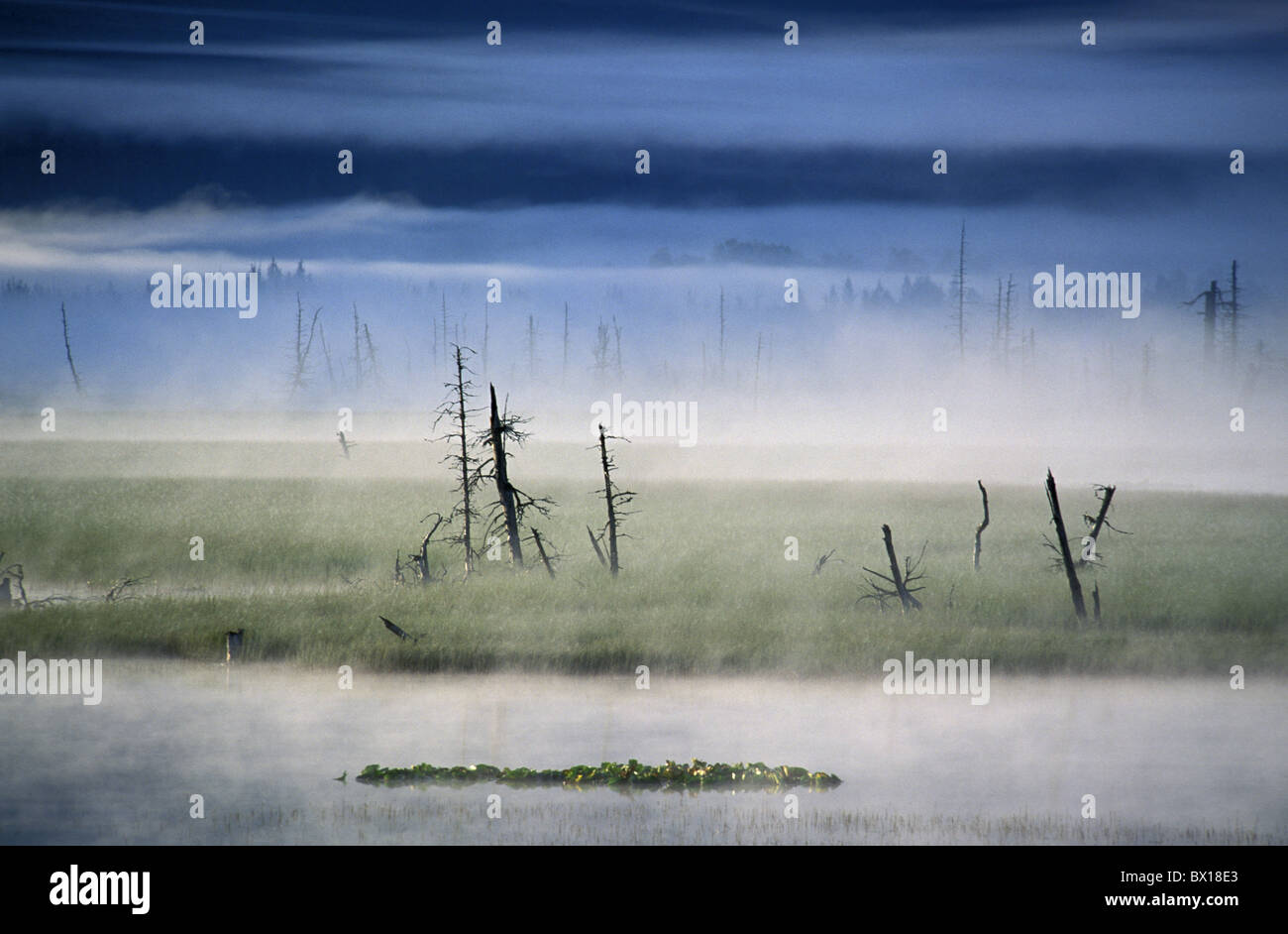 Placer River Valley High Resolution Stock Photography and Images Alamy