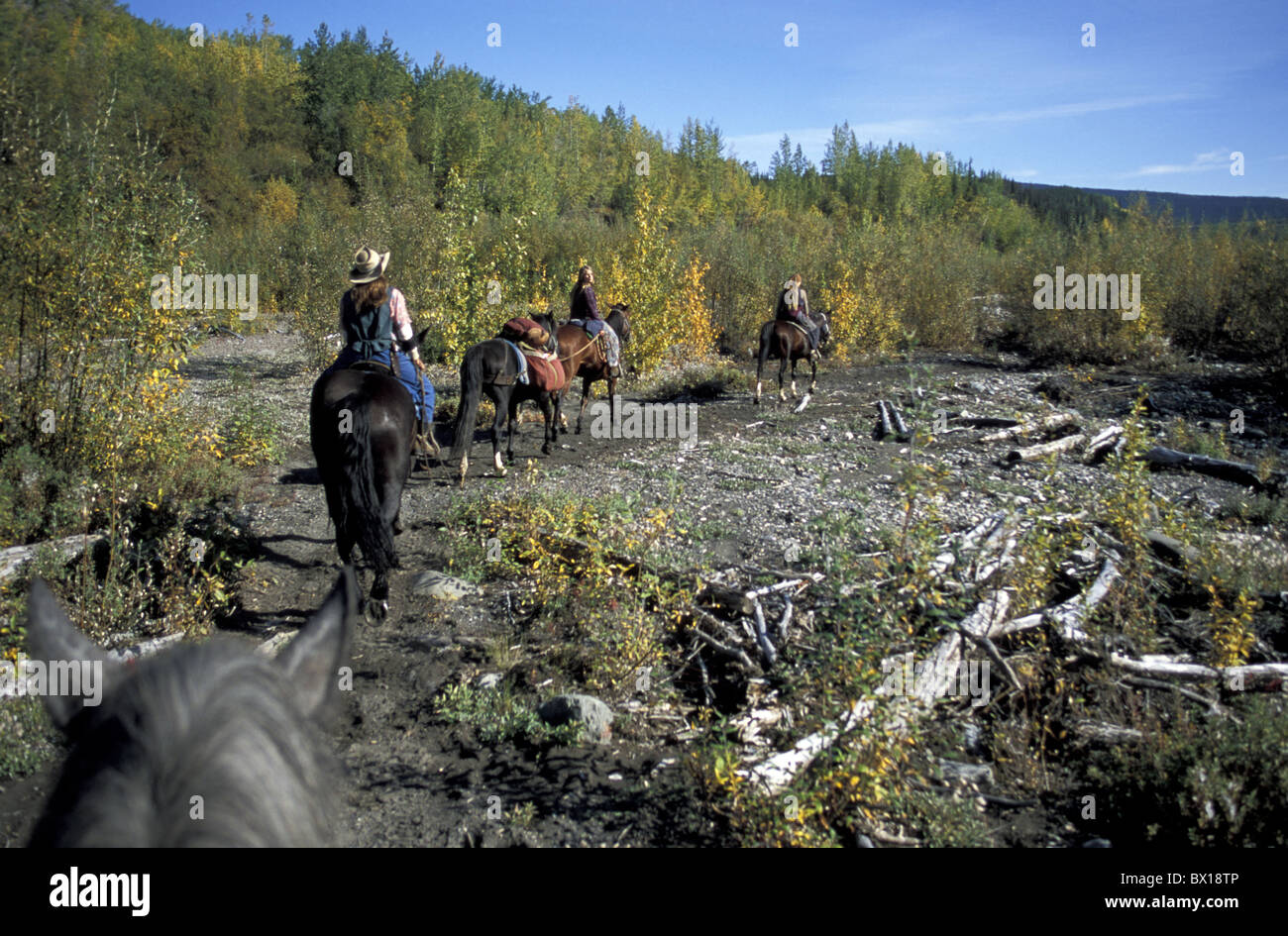 Alaska Horseback horses riding children landscape nature riding
