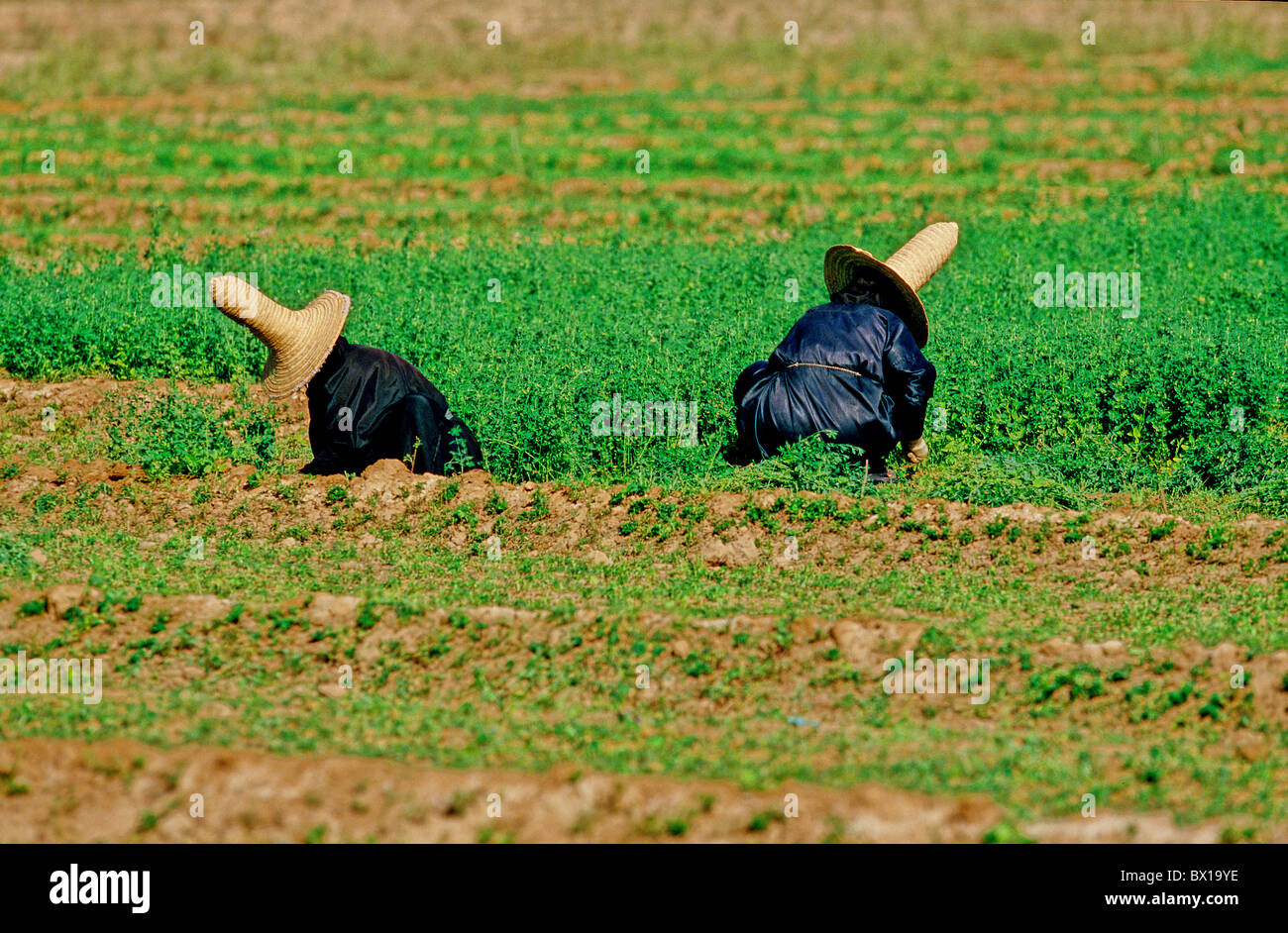 Madhalla Hat High Resolution Stock Photography and Images - Alamy