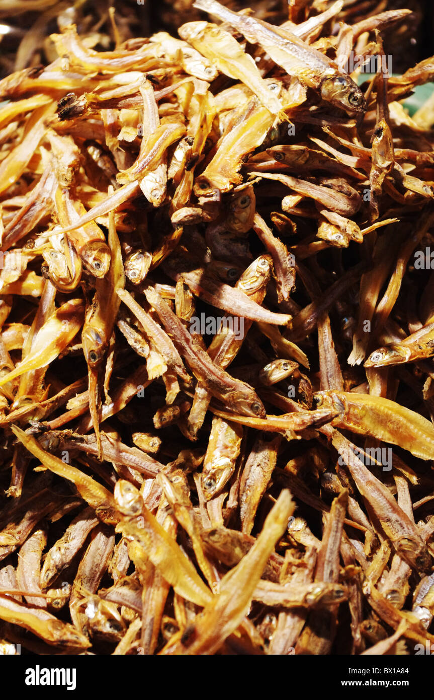 dried anchovies, a common ingredient in asia market, photos taken in