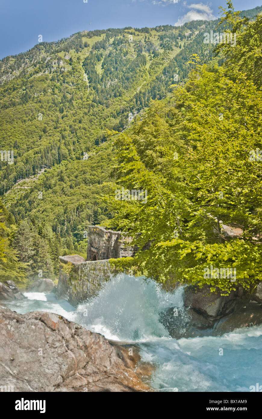 Mountain view of cascading water and pine forests Stock Photo - Alamy