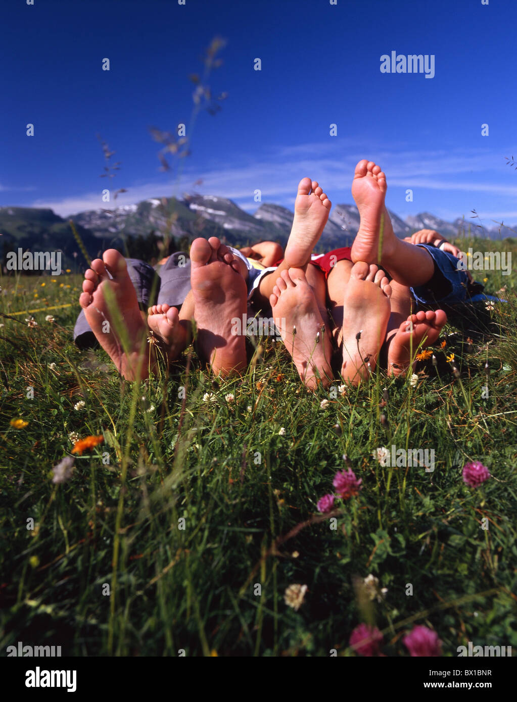 Dangle High Resolution Stock Photography and Images - Alamy