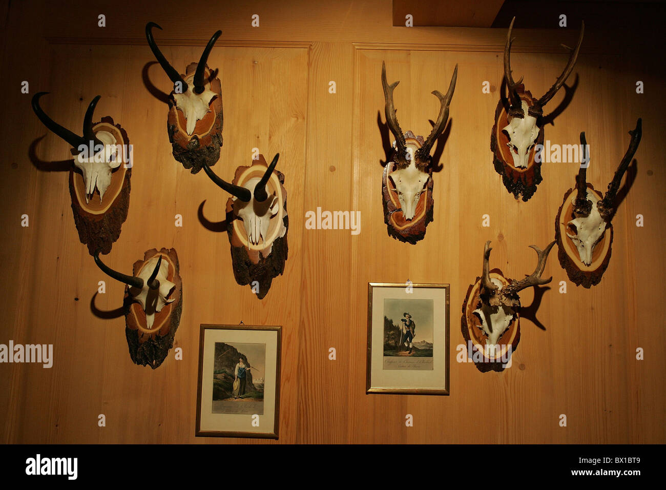 Hunting trophies trophies hunt antlers roebuck chamois pictures nostalgia hotel Enstlenalp genetic valley Be Stock Photo