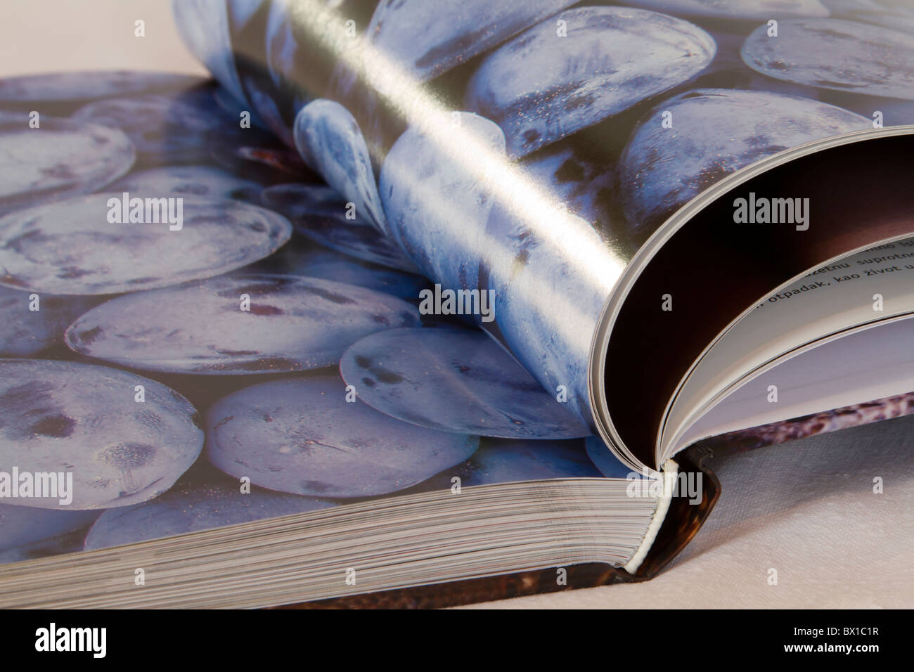 open book with plum picture Stock Photo