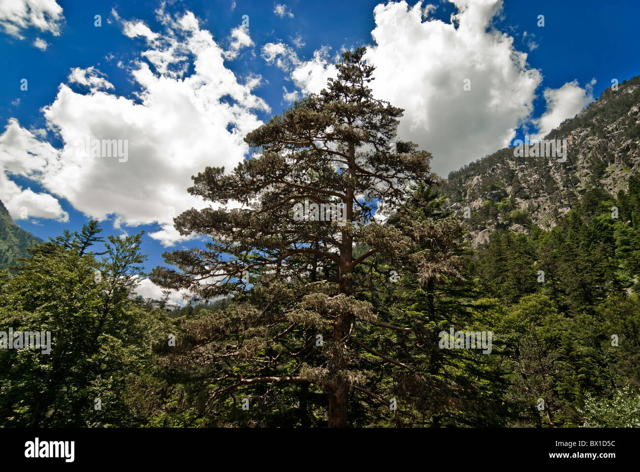 French Pyrenees Stock Photo