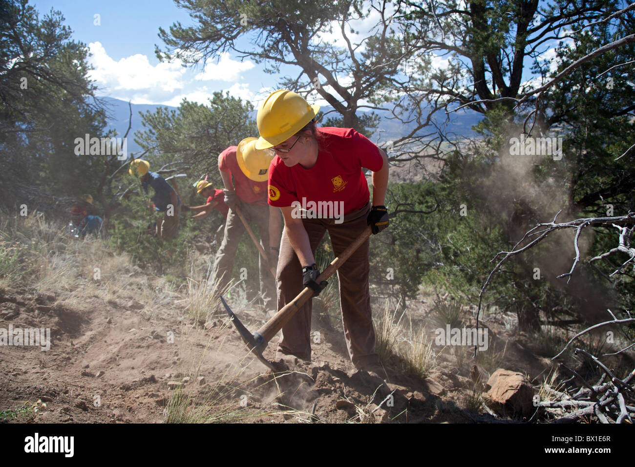 Construction of Mountain Bike Trail Stock Photo Alamy