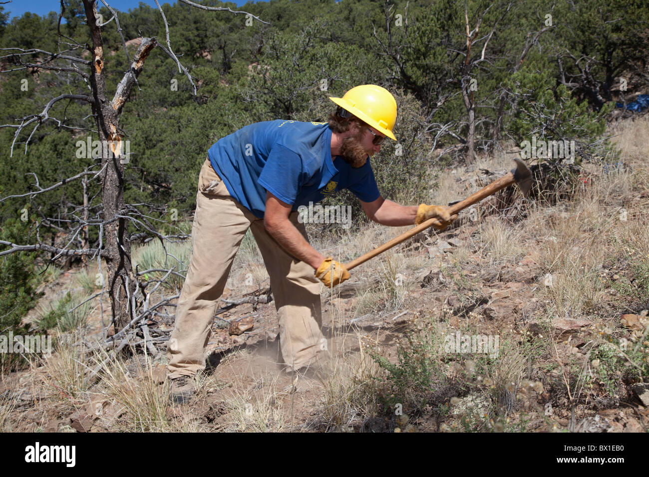 Construction of Mountain Bike Trail Stock Photo Alamy