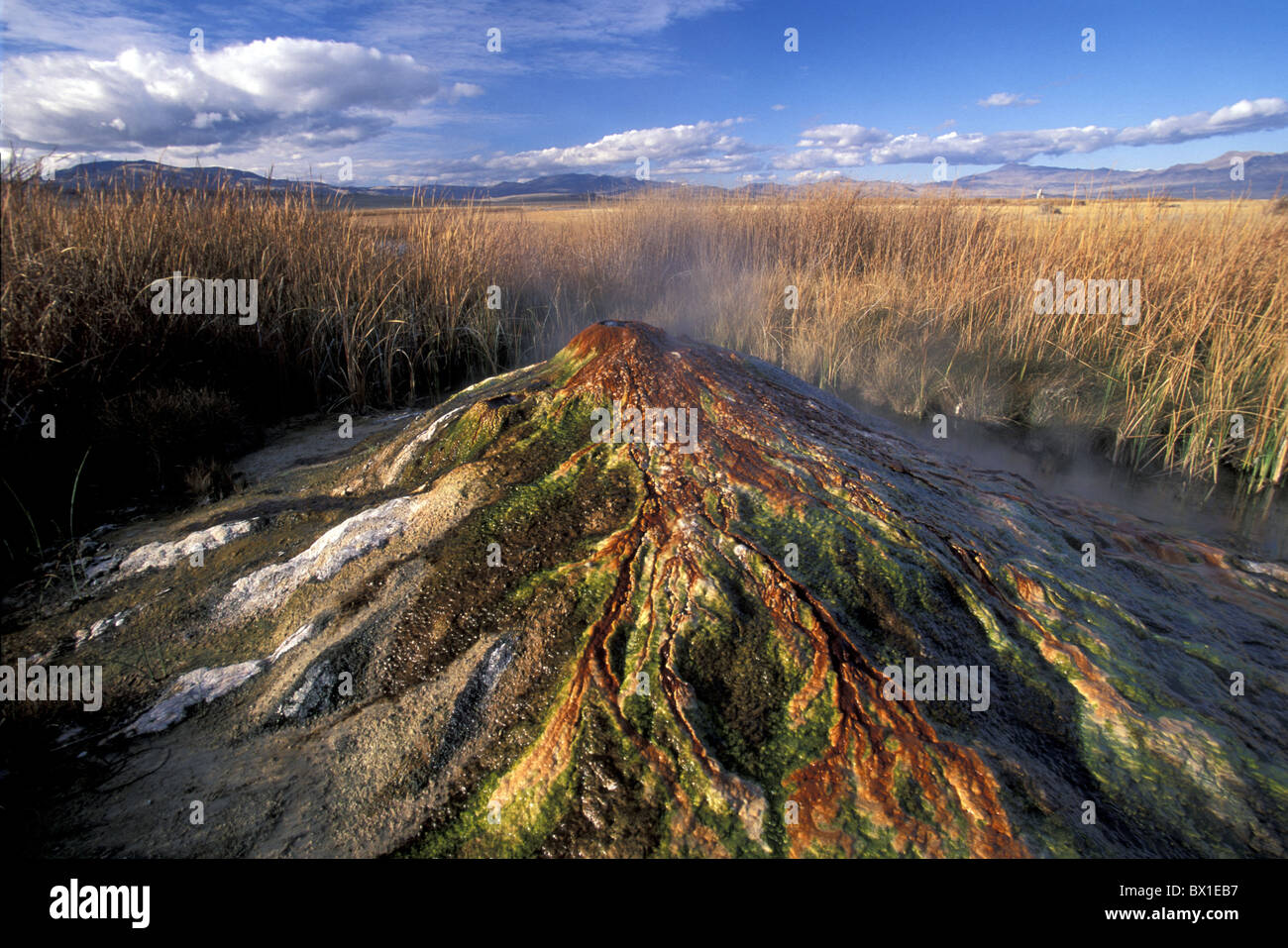 Black Rock Desert Fly Geyser Nevada USA America United States geology vulcanism North America Stock Photo