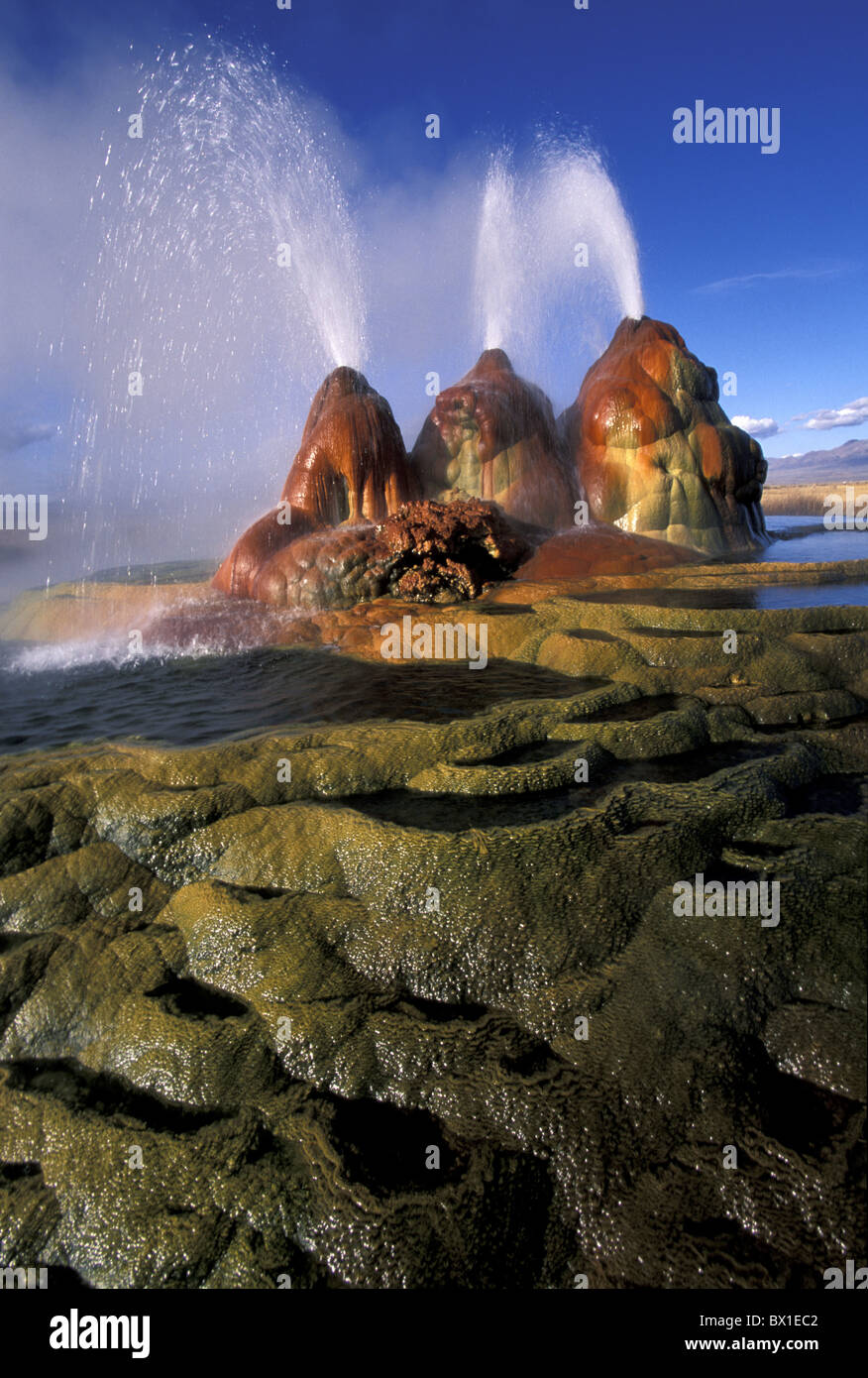 Black Rock Desert Fly Geyser Nevada USA America United States geology vulcanism North America Stock Photo