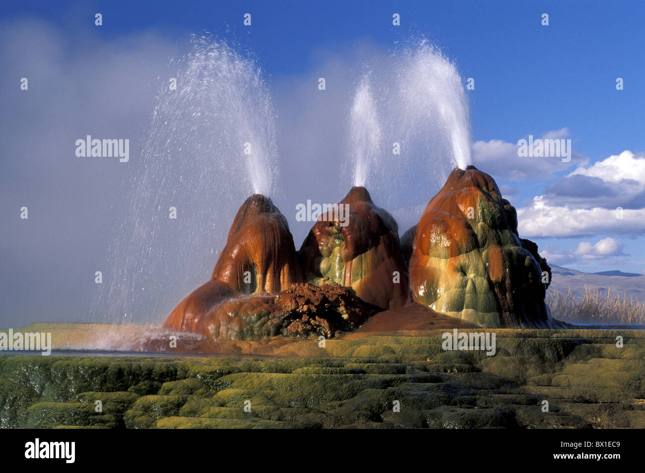 Black Rock Desert Fly Geyser Nevada USA America United States geology vulcanism North America Stock Photo