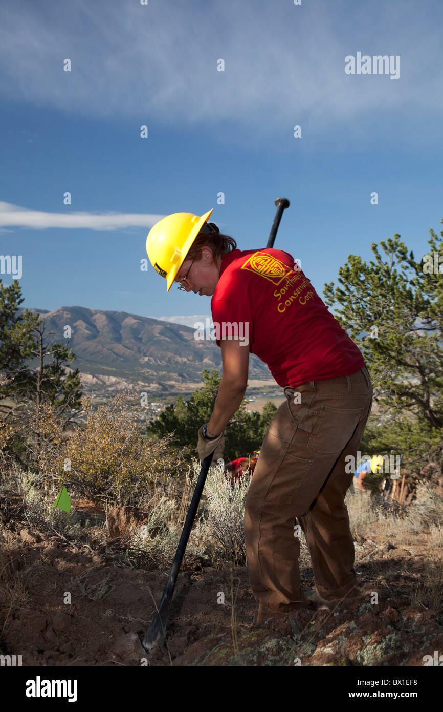 Construction of Mountain Bike Trail Stock Photo Alamy