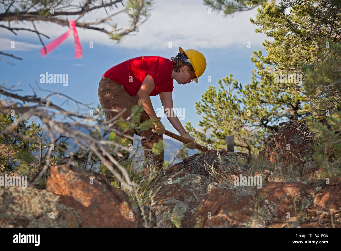 Construction of Mountain Bike Trail Stock Photo Alamy