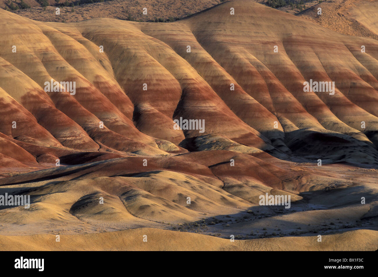 John Day Fossil Bed National Monument Oregon Painted Hills USA America United States hills