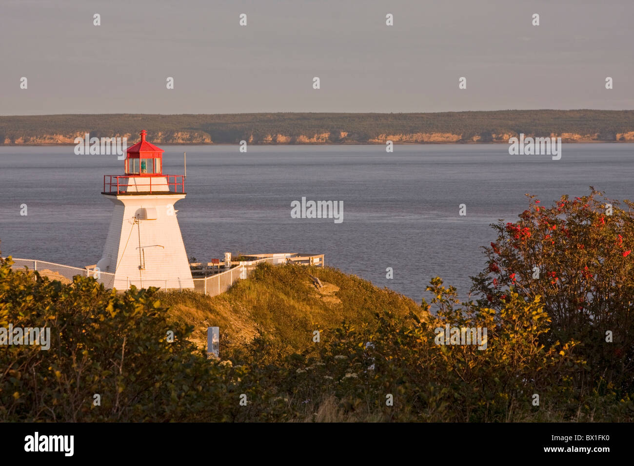 Lighthouse Cape Enrage in sunset light, Nova Scotia Canada Stock Photo