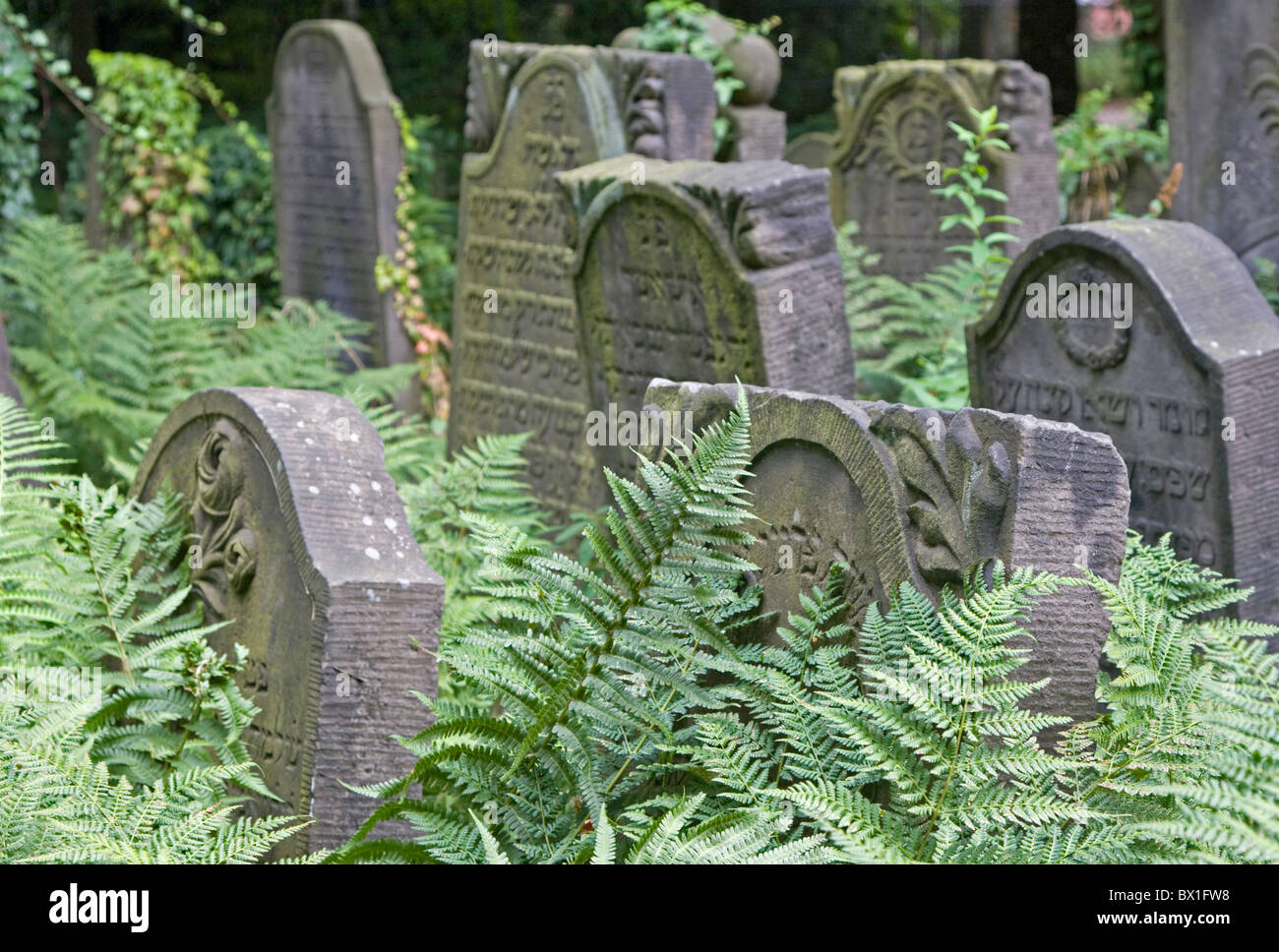 Old Jews cemetery at Hamburg, Germany Stock Photo