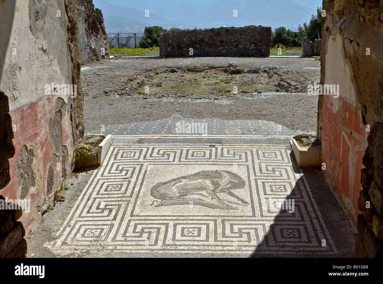 A floor mosaic at Pompeii with a geometrical border, depicting a wild boar Stock Photo