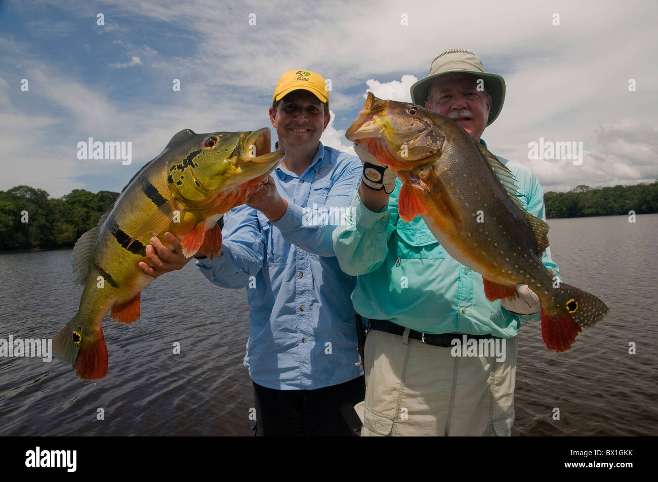 Two anglers carefully lift 2 peacock bass caught on topwater lures in