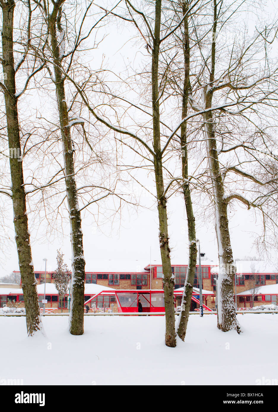 snow outside the east surrey hospital stock photo 33227050 alamy