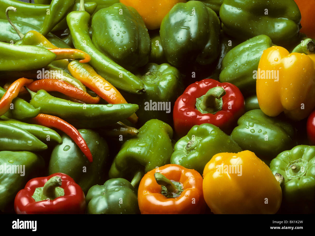 Multicolored Bell and Chili peppers filling the frame Stock Photo - Alamy