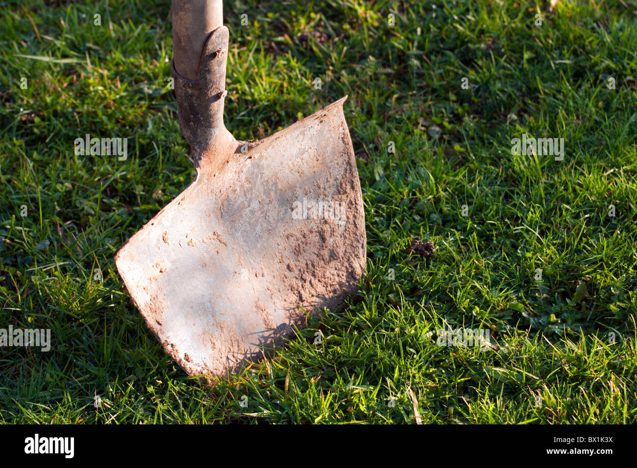 Sturdy shovel hi-res stock photography and images - Alamy