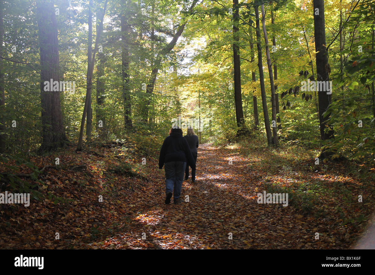 two women walking in the woods in late afternoon autumn Stock Photo