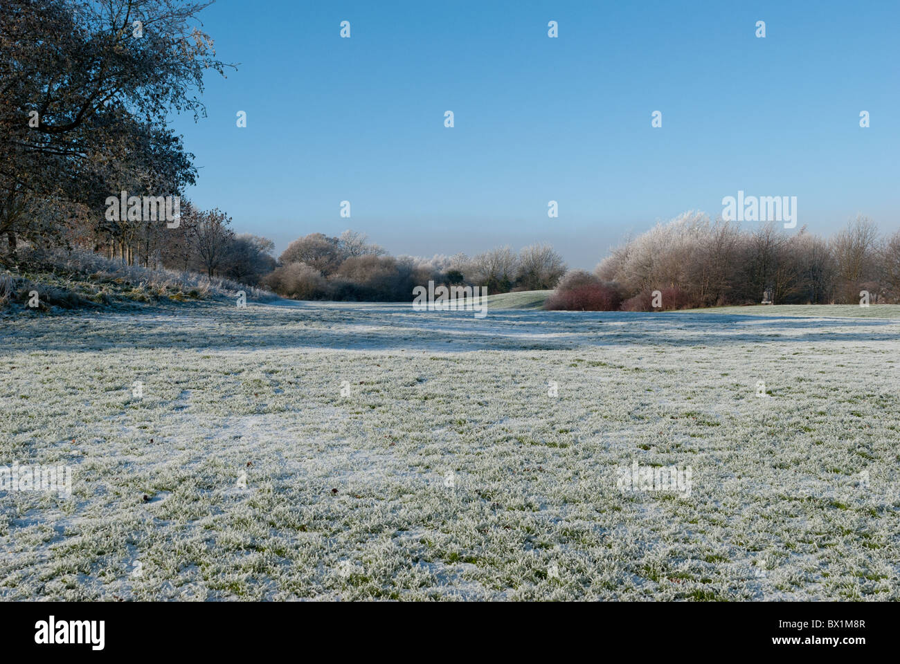 Frost covered ground with trees in the background Stock Photo - Alamy