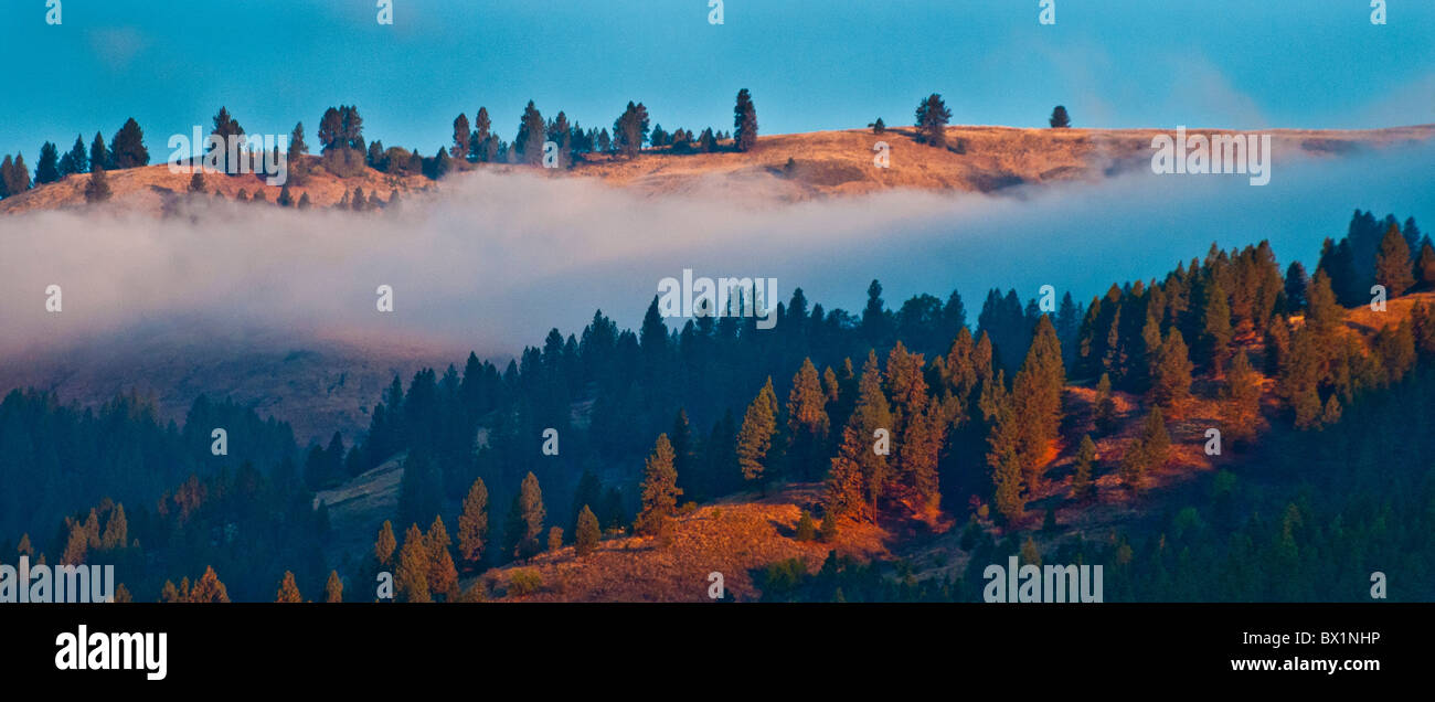 Orofino hires stock photography and images Alamy