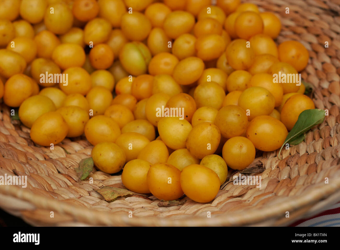 Yellow plumbs in basket Stock Photo - Alamy