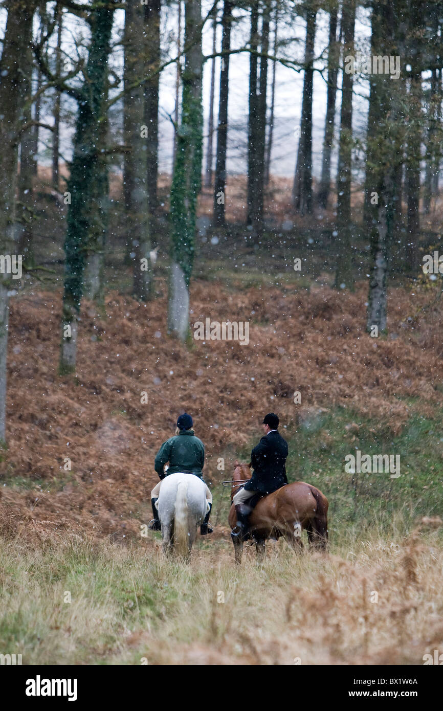 New Forest Foxhounds and hunt Stock Photo